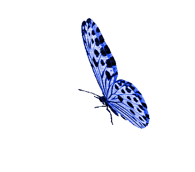 Anasayfa 39 f7cf60685837e52454b0736104045b89